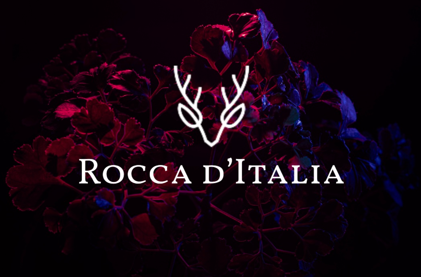 Rocca d'Italia – The brand of the Italian Dolce Vita
